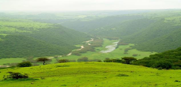 Dcomfort Air Travel and Tourism LLC UAE. | Enchanting Salalah Dcomfort Air Travel and Tourism LLC UAE. | Enchanting Salalah